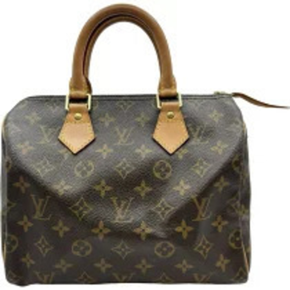 Louis Vuitton Speedy Brown Boston Bag